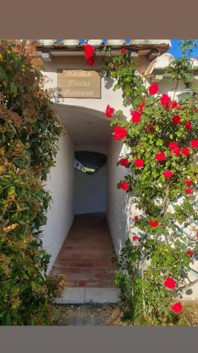 a tunnel with red flowers on a building at Mas De Calabrun in Saintes-Maries-de-la-Mer