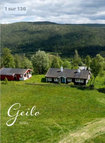 a house on a grassy field with a house at Geilo, two cabins, silence, nature, skiing and summer sports in Geilo