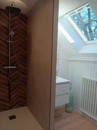 La salle de bains est pourvue d'une douche, d'un lavabo et d'une lucarne. dans l'établissement Gîte les 3 petits porcelets, à Missillac