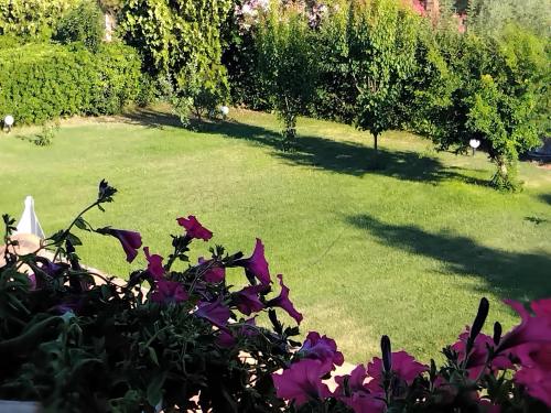 a lawn with purple flowers in a yard at TAMMY'S GARDEN HOUSE in Leptokaria