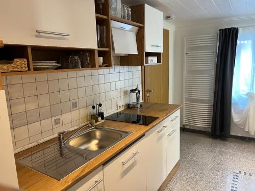 a kitchen with a sink and a counter top at Zum Sterngässchen in Ludwigshafen am Rhein
