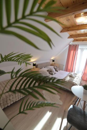 a cat laying on a bed in a bedroom at Pino House in Zakopane