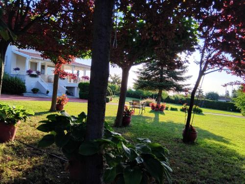a yard with trees and a house in the background at TAMMY'S GARDEN HOUSE in Leptokaria