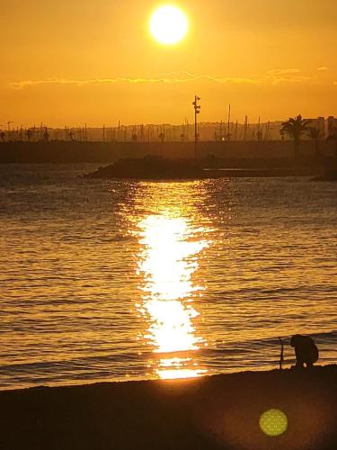 MaGorja Torrevieja Residences photo 24
