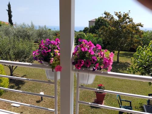 a balcony with pink flowers on a fence at TAMMY'S GARDEN HOUSE in Leptokaria