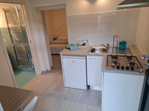 a small kitchen with a sink and a stove at Il vigneto in Vernazza