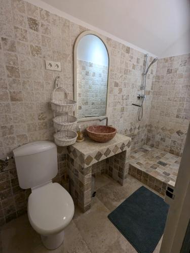 une salle de bain avec toilettes, lavabo et douche dans l'établissement Grande maison proche Carcassonne 10 p piscine spa sauna Le Grand Chalet Bellevue, à Cavanac