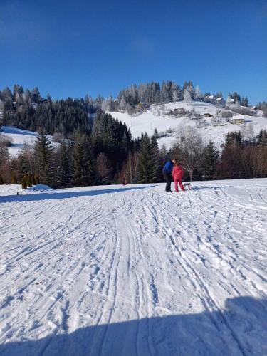 a couple of people on skis in the snow at Zlatar Eyes in Nova Varoš