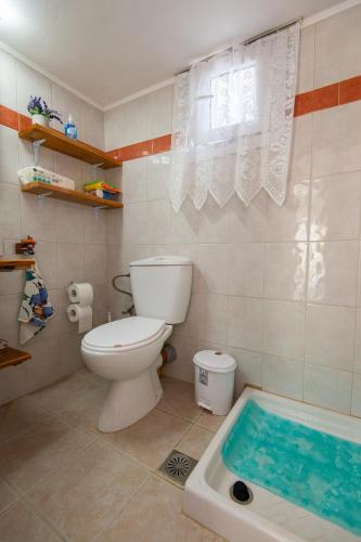 a bathroom with a toilet and a bath tub at Aegean Heaven in Samos