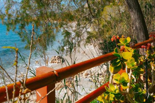a view of a beach with a dog walking on the sand at Aegean Heaven in Samos