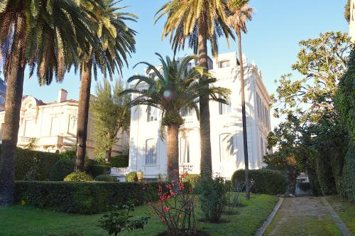 Charming Apartment Cannes City Center and Beaches