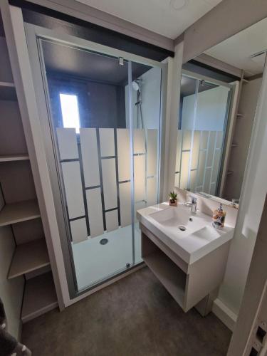 une salle de bain avec un lavabo et une douche dans l'établissement Chalet sur la côte Landaise, à Saubrigues