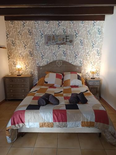 a bedroom with a large bed with two night stands at Maison N 2 Du Bas Coudreau in Rosnay