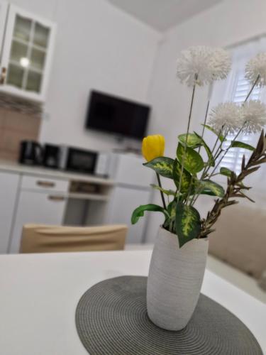 Η κουζίνα ή μικρή κουζίνα στο Apartmani Klara