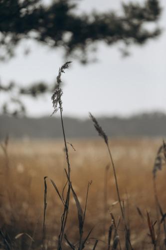 Naturlandschaft in der Nähe des Ferienhauses