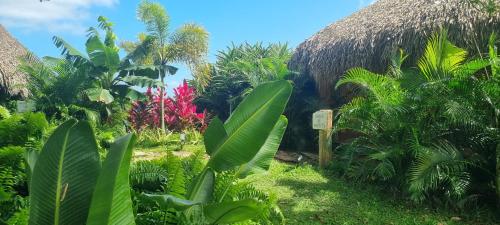 Κήπος έξω από το Margarita Ecovillage