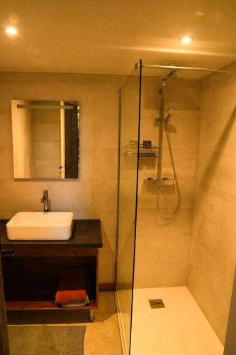 une salle de bain avec un lavabo et une douche dans l'établissement Villa charmante avec piscine privée à Castels_2, à Finsac