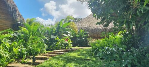 Κήπος έξω από το Margarita Ecovillage
