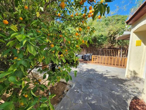 Taman di luar בית מקסים בלב העיר