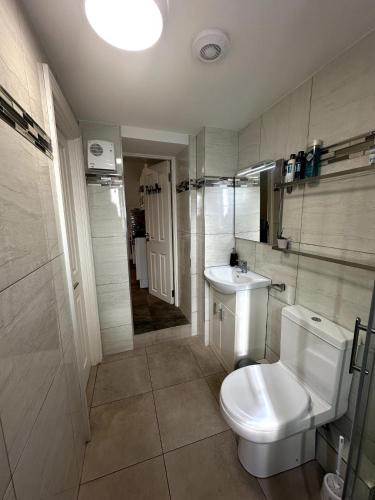 a bathroom with a toilet and a sink at Abbey Apartments in Dublin