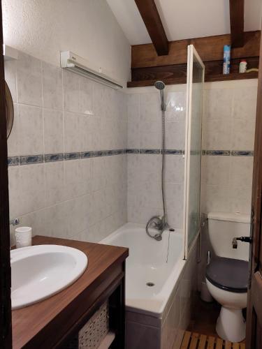 une salle de bain avec un lavabo, des toilettes et une douche dans l'établissement Grand appartement 6 personnes, à Crest-Voland