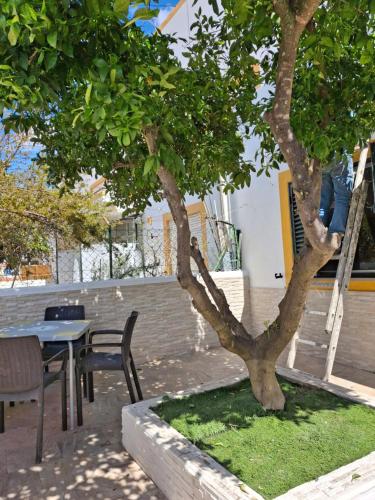 a table and chairs next to a tree with a ladder at Flor de Laranjeira in Mértola