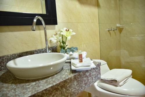 a bathroom with a sink and a toilet at Hotel San Marcos in Paipa