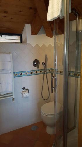 a bathroom with a shower and a toilet at Casa Falcone B&B in Scala