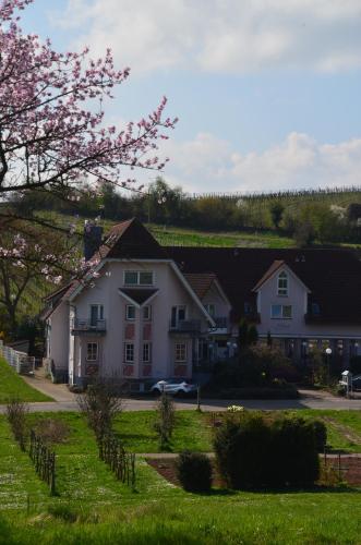 a large white house with a grassy yard at Castell Hotel & Restaurant in Leinsweiler