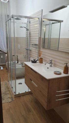 阿斯蒂Appartamento CA' GIARDINO的带水槽和淋浴的浴室