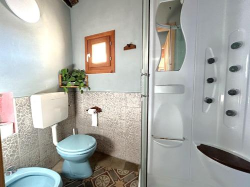 a bathroom with a blue toilet and a shower at LA CASA DEI SOGNI appartamento Glicine in Pisano