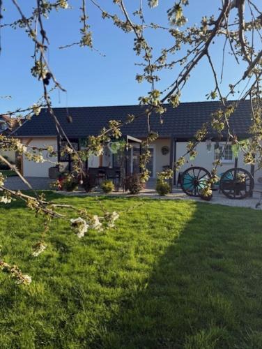 a house with a yard with cats in front of it at Gite Junior L'Ecrin du Ried PROCHE EUROPA-PARK in Artolsheim