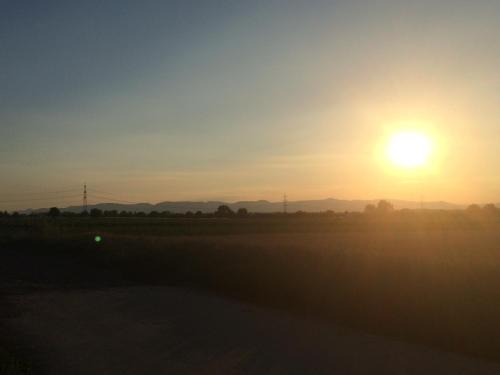 a sunset in a field with the sun in the sky at Alte Heimat in Schwegenheim