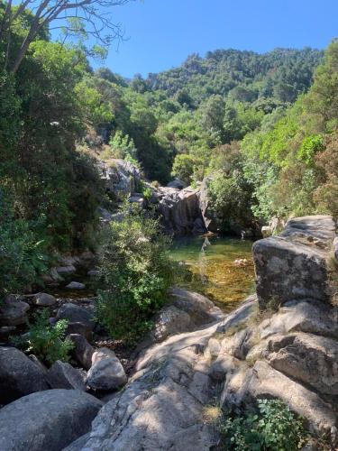 a stream of water with rocks and trees at B&B Meladormo in Tempio Pausania