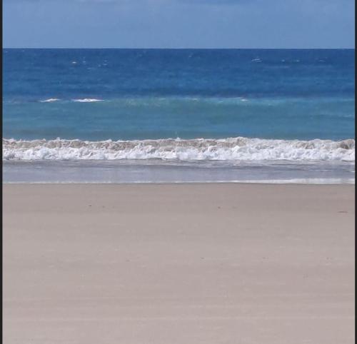 Naturlandskabet i nærheden af lejligheden