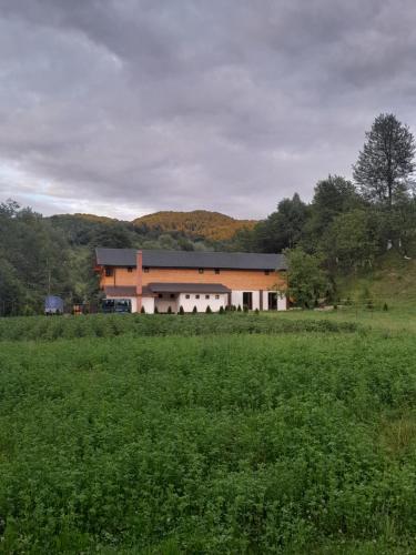 a large building in the middle of a field at Pensiunea Malinul in Bîrsana