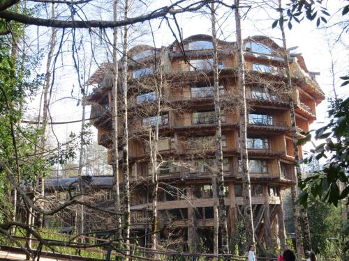 Φωτογραφία από το άλμπουμ του CABAÑITA EN ARRIENDO Neltume huilo huilo Chile σε Neltume
