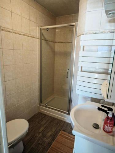 une salle de bain avec une douche, des toilettes et un lavabo dans l'établissement Résidence Palmyra - T2 - 4 pers - vue sur l'eau MAE-5491, au Barcarès