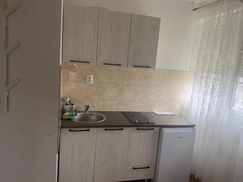 Kuchyň nebo kuchyňský kout v ubytování Apartmani Amon