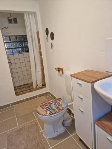 a bathroom with a toilet and a sink at Bungalow 1Eickhof in Warnow