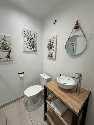 une salle de bain avec toilettes, lavabo et miroir dans l'établissement Cœur d'émeraude, à Moissac