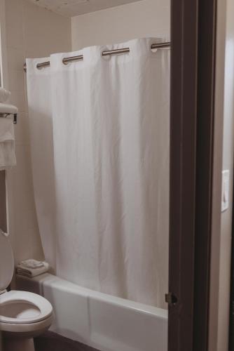 a white shower curtain in a bathroom with a toilet at Americinn by Wyndham Appleton Downtown in Appleton