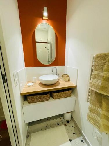 une salle de bain avec un lavabo et un miroir dans l'établissement Cozy apartment Chez Simone, à La Rochelle