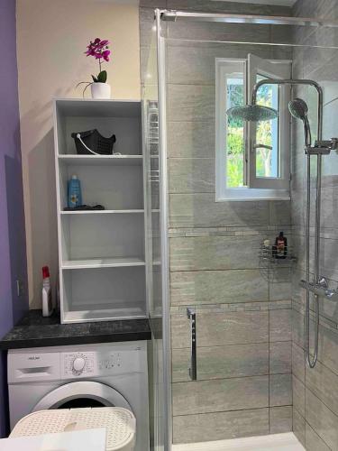 une salle de bain avec douche et machine à laver dans l'établissement Le petit mauricia, à San-Nicolao