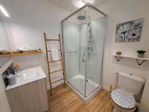 une salle de bain avec une douche, des toilettes et un lavabo dans l'établissement Le Mosaïque, proche gare, terrasse, parking privé, à Laval
