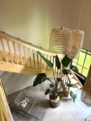 a staircase with a potted plant and a pendant light at Chambre d'hôtes Les Îles Vagabondes in Saint Malo
