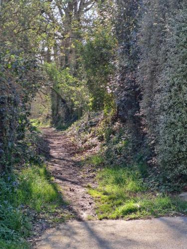 Φυσικό τοπίο κοντά σε αυτή η παραθεριστική κατοικία