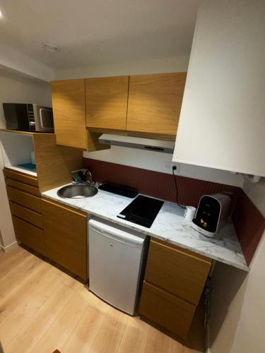 une petite cuisine avec un évier et une cuisinière dans l'établissement La Casa Cosy Duplex centre ville, à Lyon