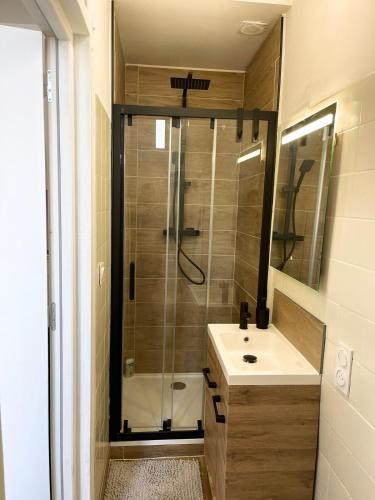 a bathroom with a shower and a sink at Le Breizh -T2 en centre ville in Rennes