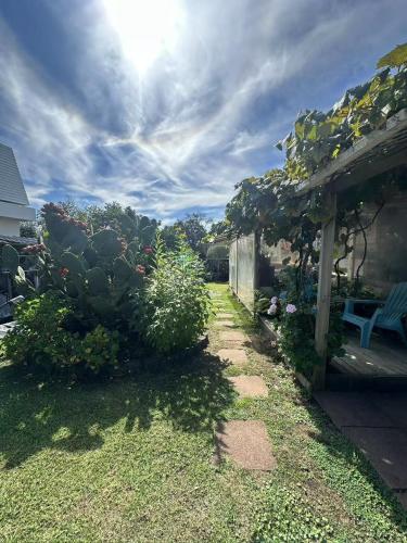 a garden with a cactus and a house at sweet house in Auckland